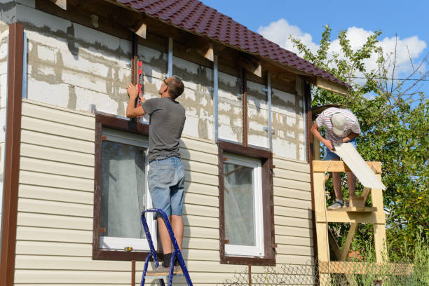 Best Aluminum Siding Installation  in Fruitland, MD