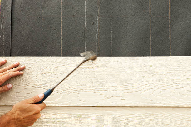 Best Insulated Siding Installation  in Fruitland, MD